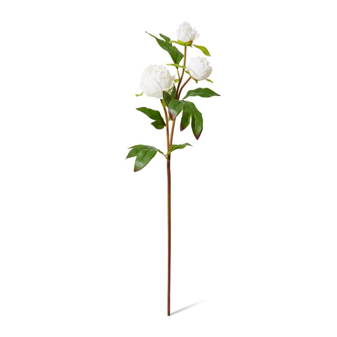 Peony Bud Spray (RT) Pack Of 12 - White, 62cm (H)