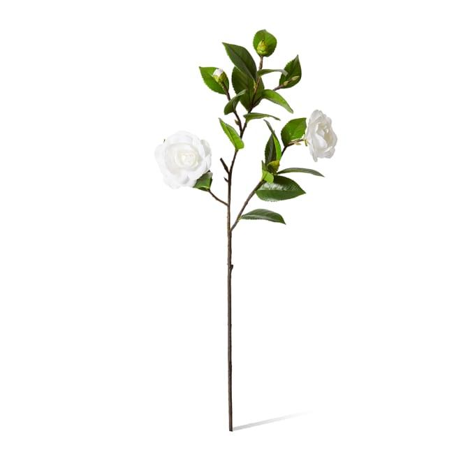 Camellia Spray Pack Of 12 - White/Green, 69cm (H)
