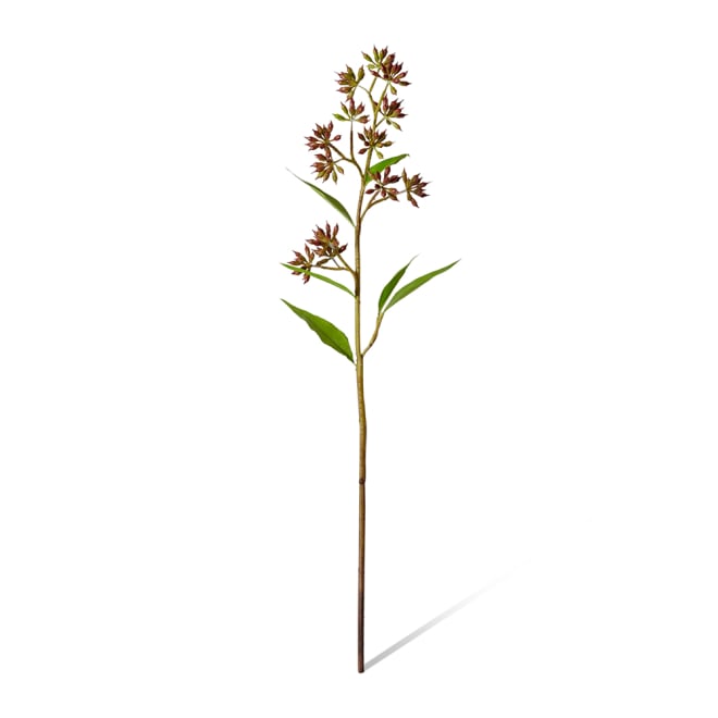 Eucalyptus Jarrah Seed Spray Pack Of 12 - Burgundy, 74cm (H)