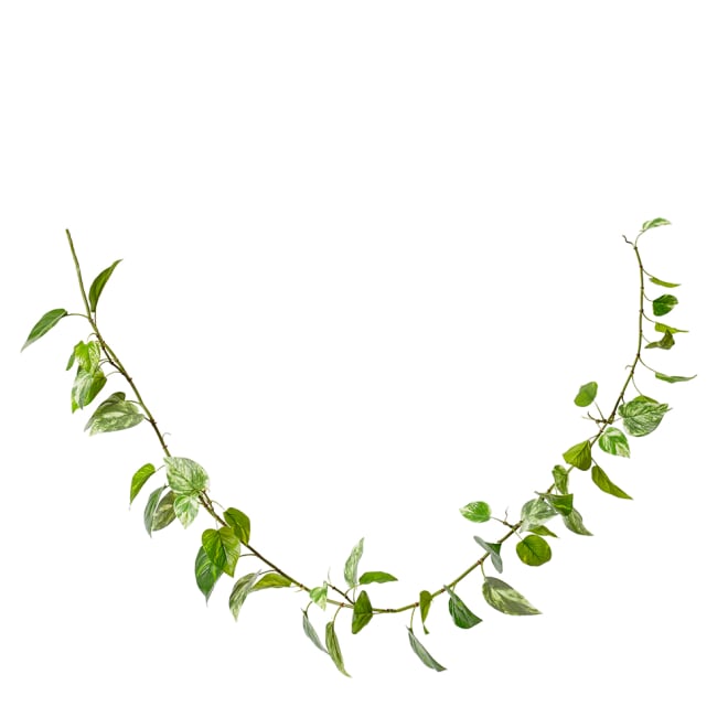 Pothos (Outdoor) Garland Pack of 12 - Green, 180cm (H)