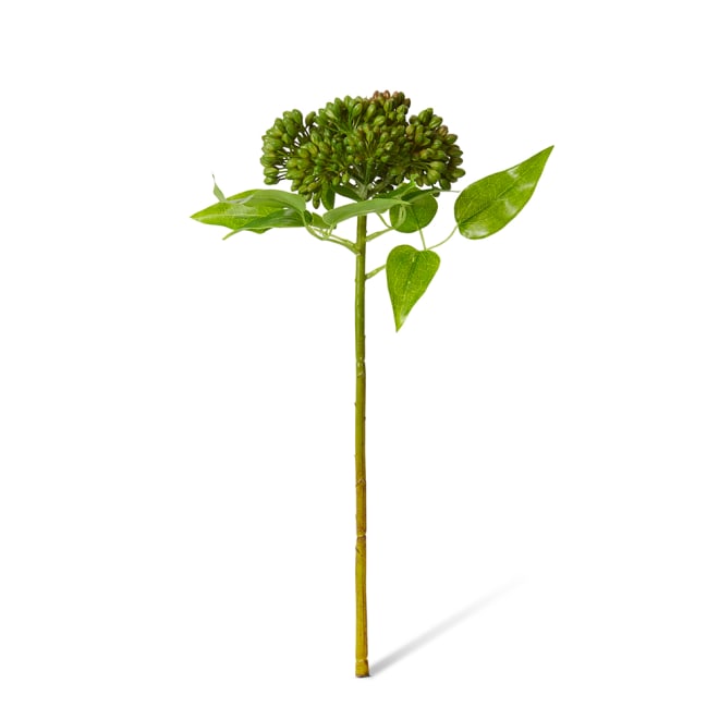 Sedum Spray Pack Of 12 - Green/Burgundy, 43cm (H)