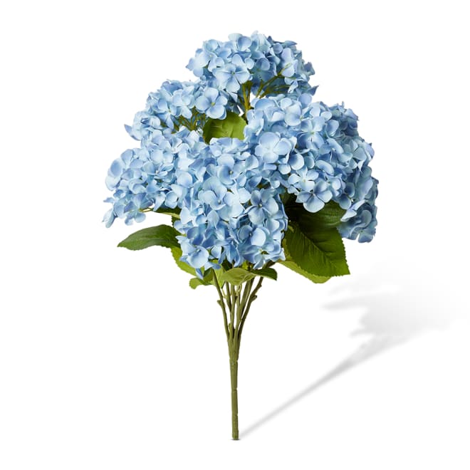 Hydrangea Garden Bush Pack of 6 - Blue, 56cm (H)