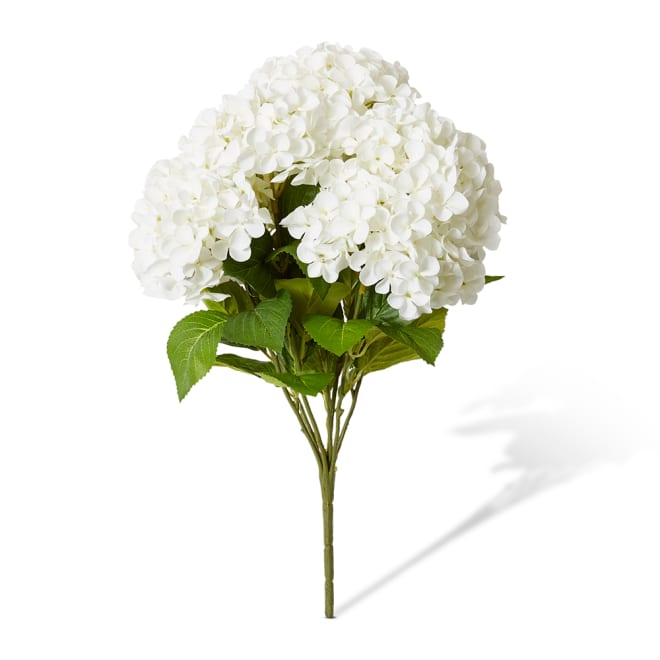 Hydrangea Garden Bush Pack of 6 - White, 56cm (H)
