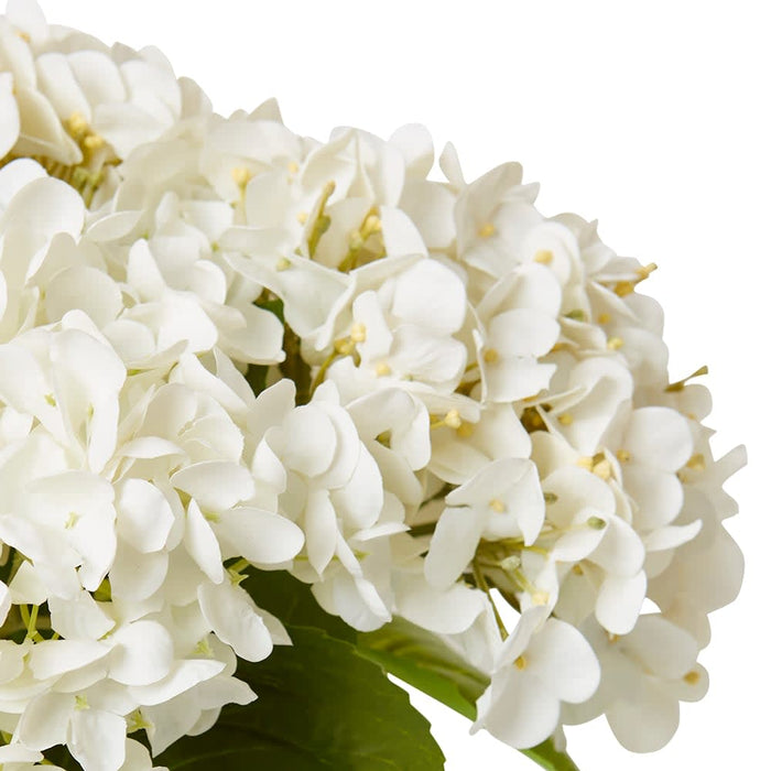 Hydrangea Mix White - White/Clear, 29cm (H)