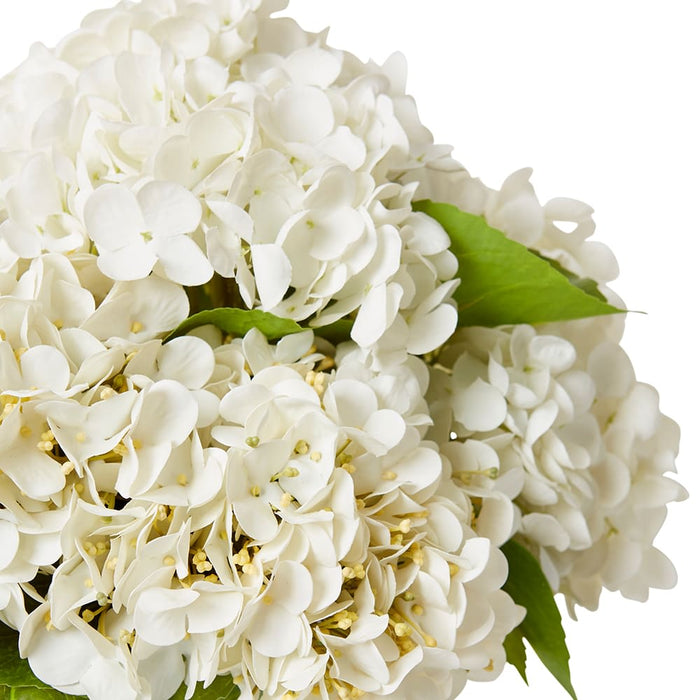 Hydrangea Mix White (DS) - White/Clear, 39cm (H)