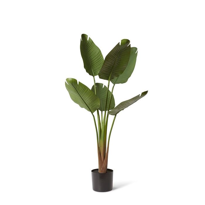 Bird of Paradise (Outdoor) - Green, 120cm (H)
