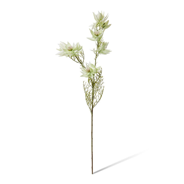 Blushing Bride Spray Pack of 12 - White, 68cm (H)