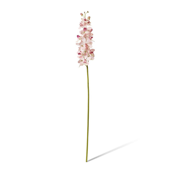 Orchid Vanda Stem Pack of 12 - Pink, 69cm (H)