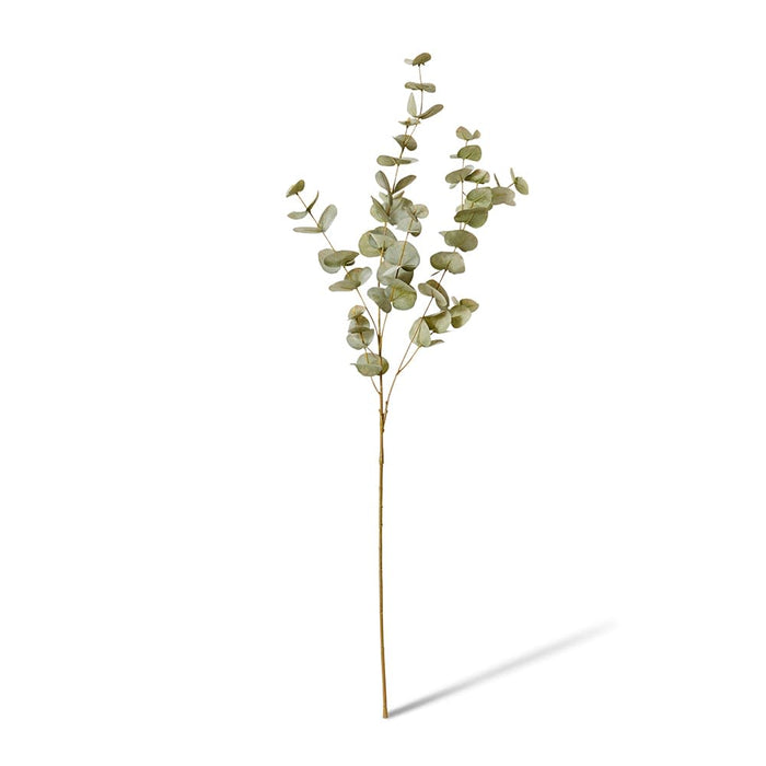 Eucalyptus Spray Pack of 12 - Grey Green, 99cm (H)