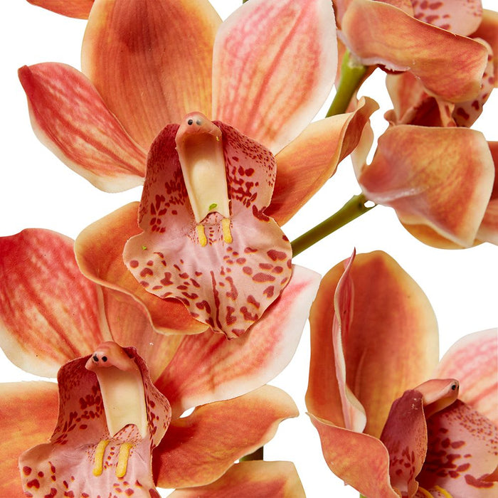 Cymbidum Grand Orchid Pack of 4 - Dark Orange, 95cm (H)