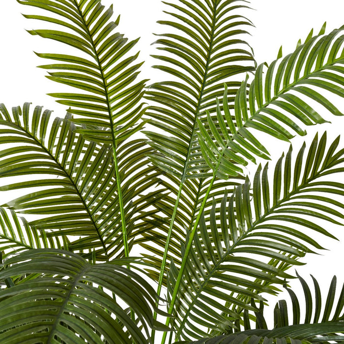 Palm Areca - Green, 213cm (H)