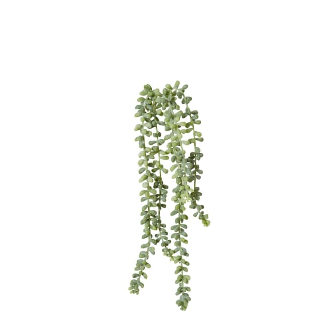 String of Pearls Pack Of 12 - Grey Green, 42cm (H)