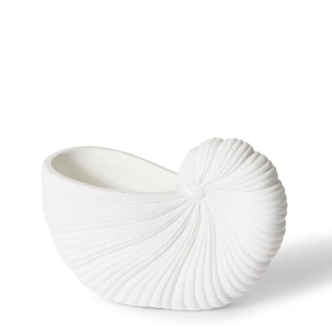 Conch Shell Pot - White, 15cm (H)