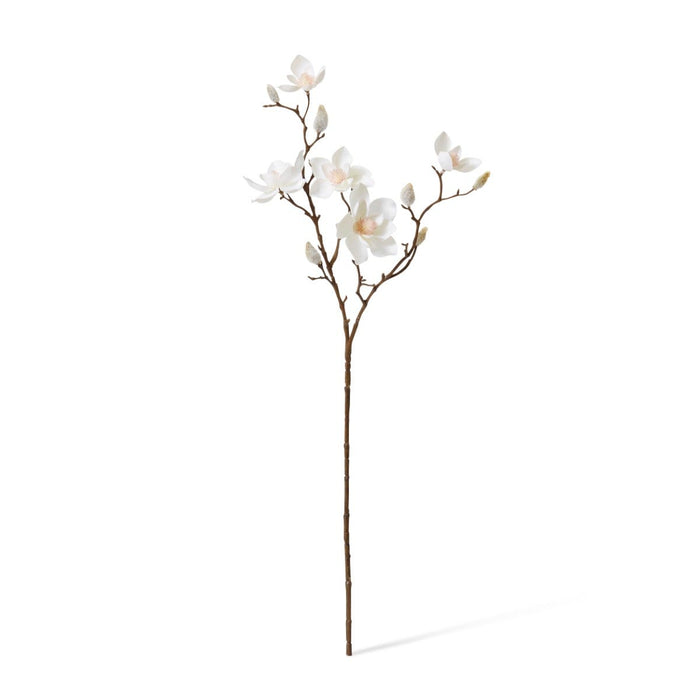 Magnolia Mini Spray Pack of 12 - White, 66cm (H)