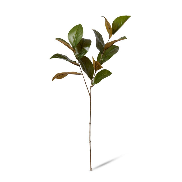 Magnolia Leaf Spray Pack of 12 - Green, 76cm (H)