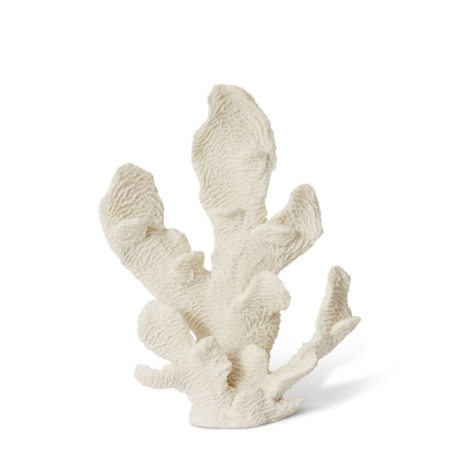 Coral Elkhorn Sculpture - White, 34cm (H)
