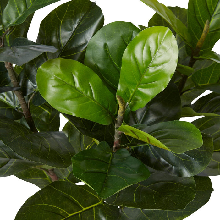 Fiddle Tree - Green, 90cm (H)