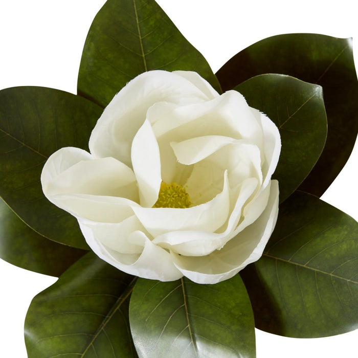 Magnolia Flower Stem Pack of 12 - White, 70cm (H)