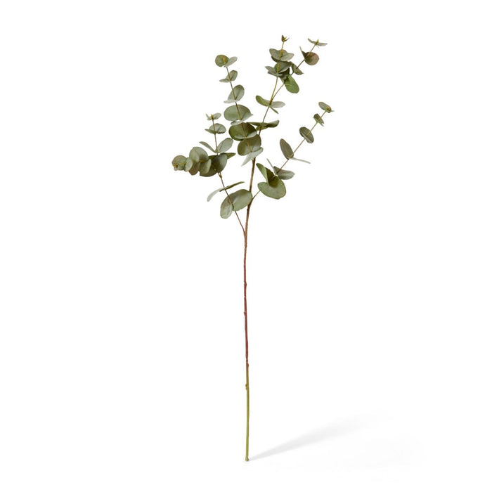 Eucalyptus Spray Pack of 12 - Grey Green, 86cm (H)