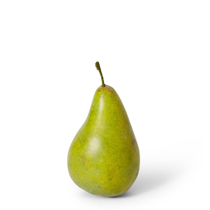 *Pear Bartlet Pack of 12 - Green, 13cm (H)