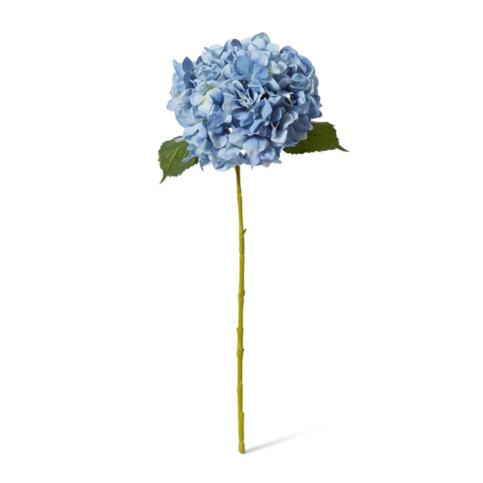 Hydrangea Classic Large Stem Pack of 12 - Blue, 65cm (H)