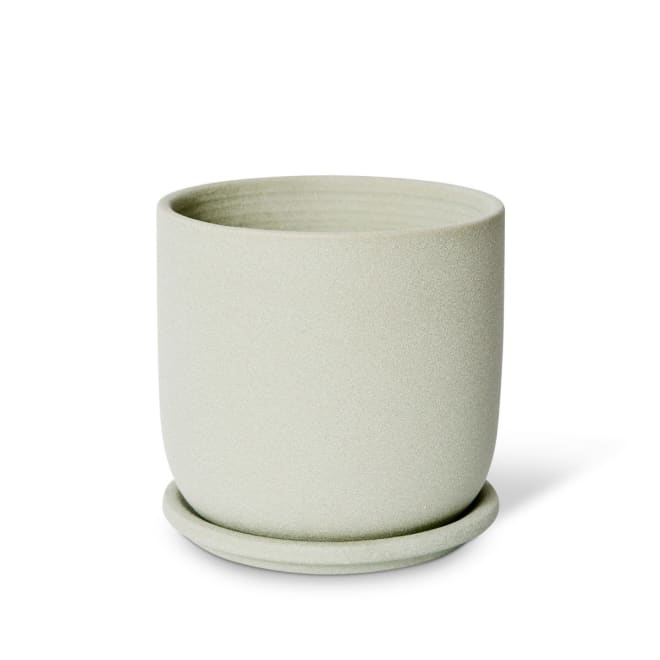 Allegra Pot w Saucer - Green, 15cm (H)