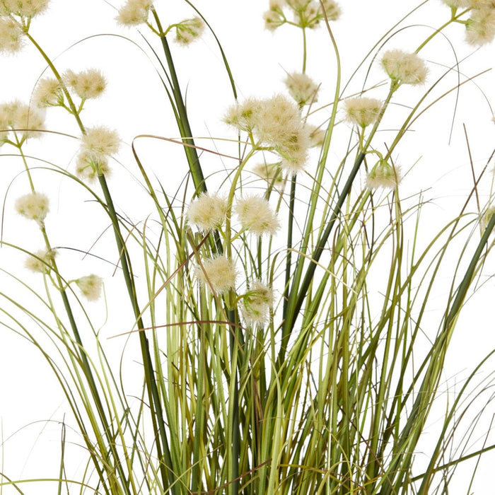 Grass Pom Pom Reed Potted - Green/Cream, 91cm (H)