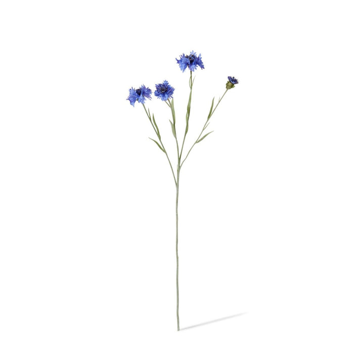Corn Flower Spray Pack of 12 - Blue, 61cm (H)