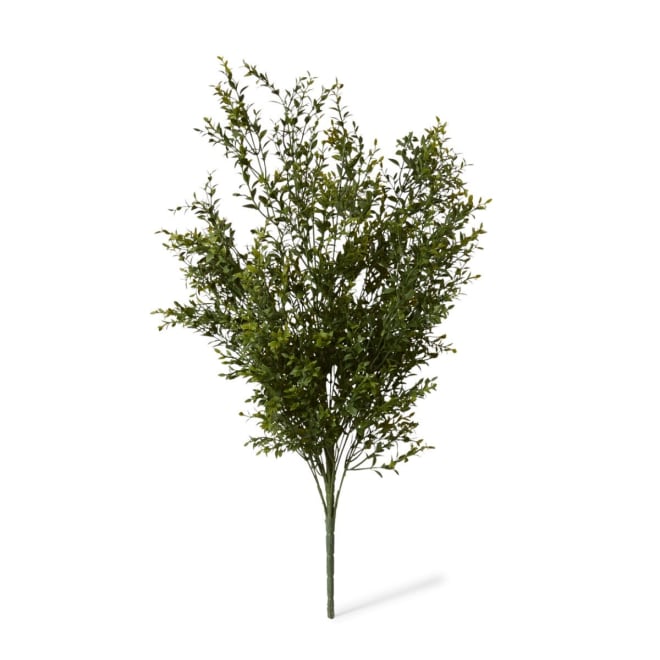 Boxwood Bush Pack of 4 - Green, 78cm (H)