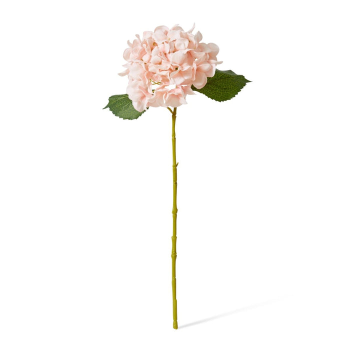 Hydrangea Classic Small Stem Pack of 12 - Pink, 61cm (H)