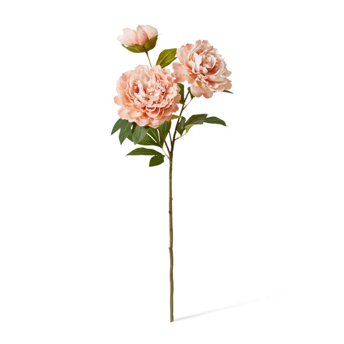 Peony Queen Spray Pack of 12 - Pink, 76cm (H)