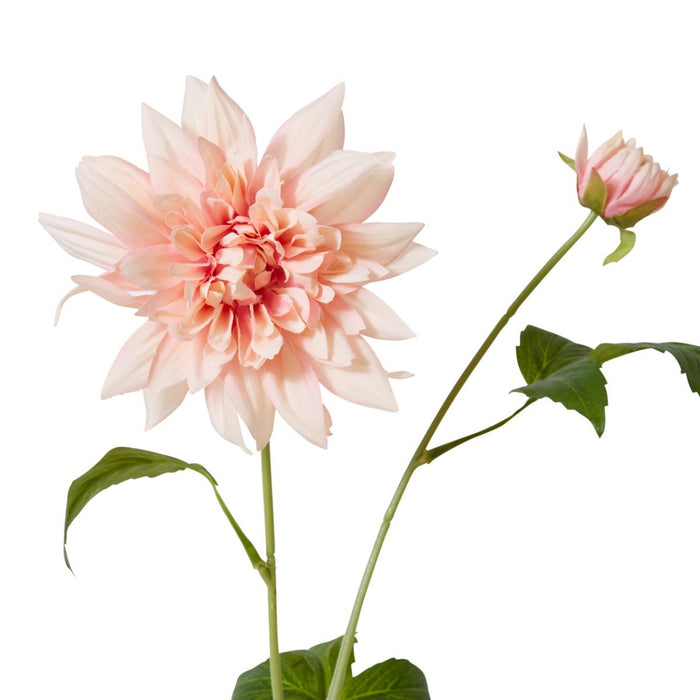Dahlia Spray Pack of 6 - Pink, 72cm (H)