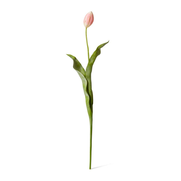 Tulip Stem Pack of 12 - Pink, 74cm (H)