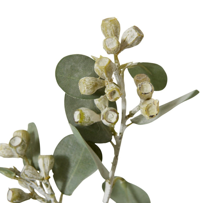 Tetragona Gum Nut Spray Pack of 12 - Grey Green, 41cm (H)