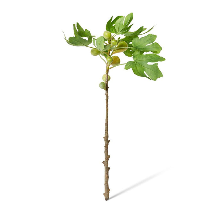Fig Branch Pack of 6 - Green, 89cm (H)