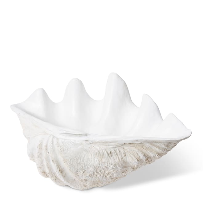 Clam Shell X-Lg Sculpture - Off White, 41cm (H)