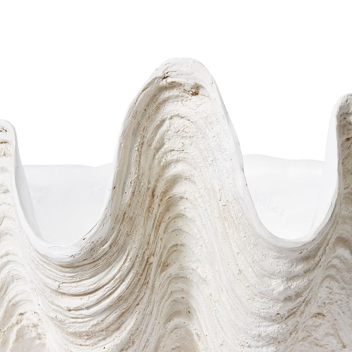 Clam Shell X-Lg Sculpture - Off White, 41cm (H)