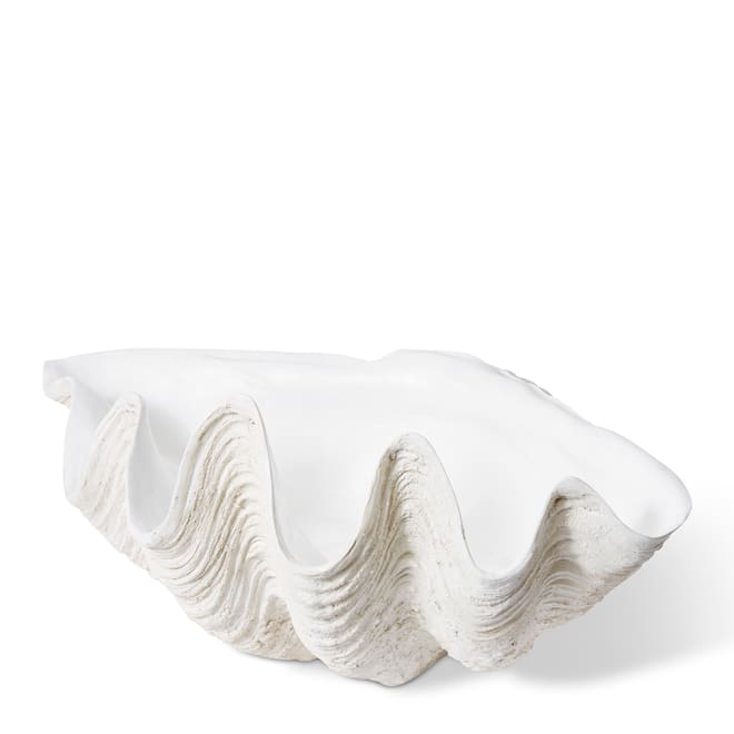 Clam Shell X-Lg Sculpture - Off White, 41cm (H)