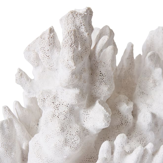 Coral Wave - White, 21cm (H)