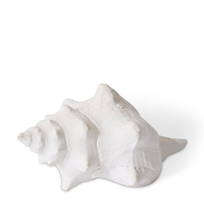 Shell Horse Conch - White, 7cm (H)