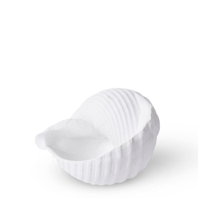 Shell Moon Snail - White, 8cm (H)