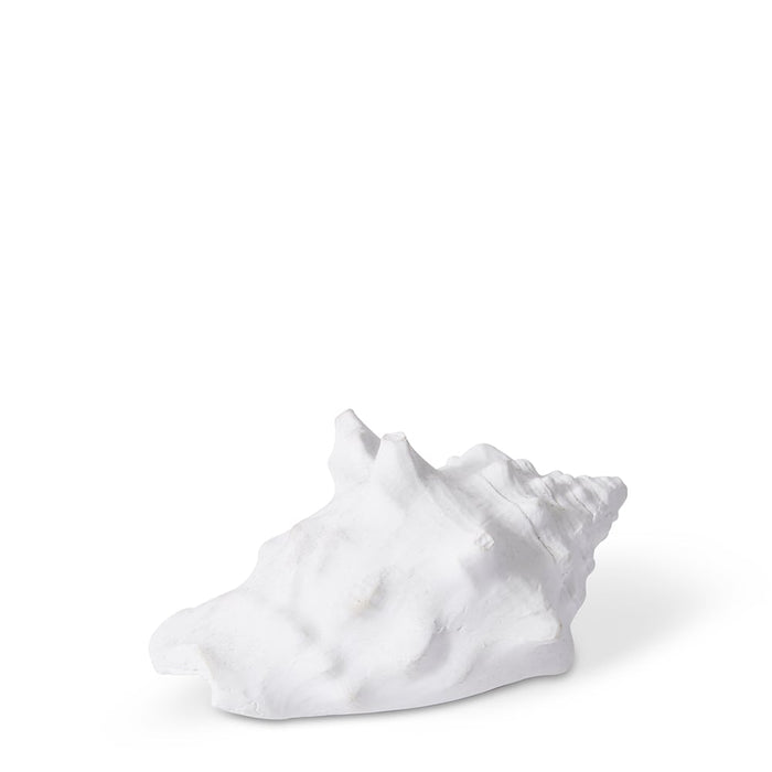 Shell Fighting Conch - White, 4cm (H)