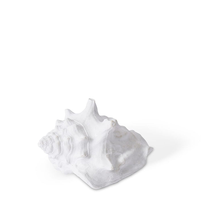 Shell Fighting Conch - White, 4cm (H)