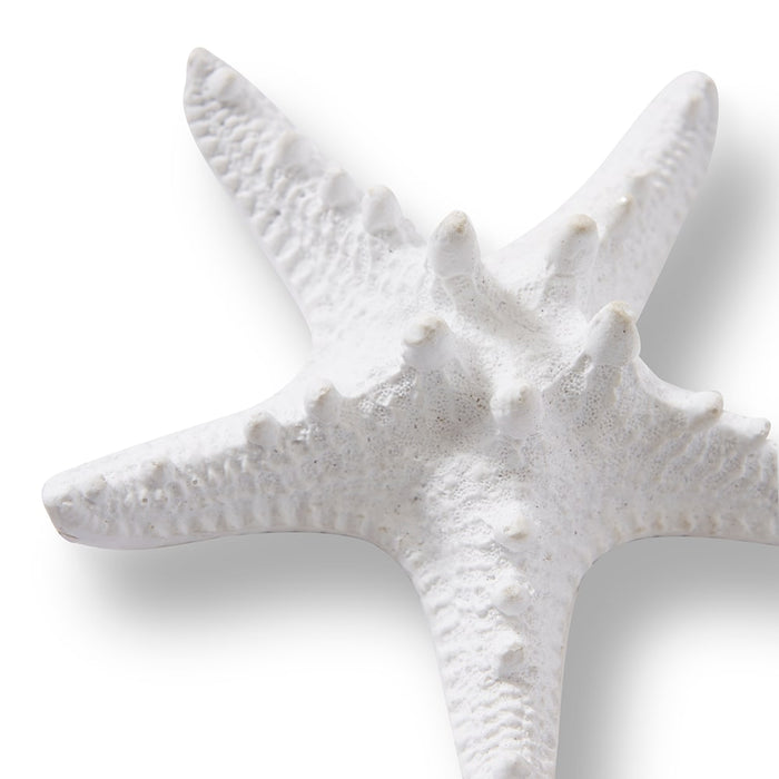 Starfish Knobbed - White, 3cm (H)