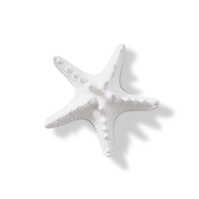 Starfish Knobbed - White, 3cm (H)