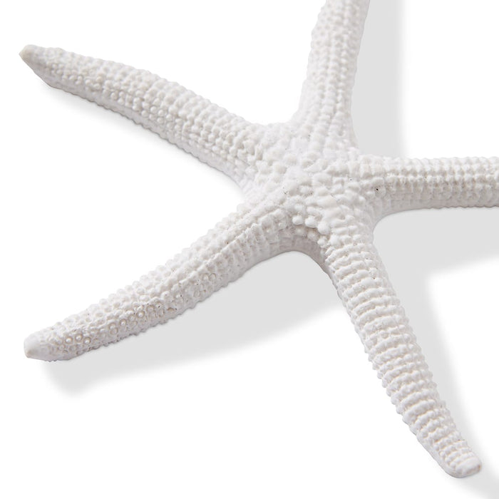 Starfish Sea Star - White, 11cm (H)