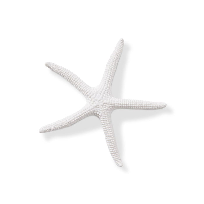 Starfish Sea Star - White, 11cm (H)