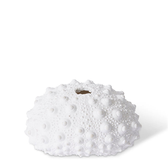 Shell Sea Urchin - White, 5cm (H)