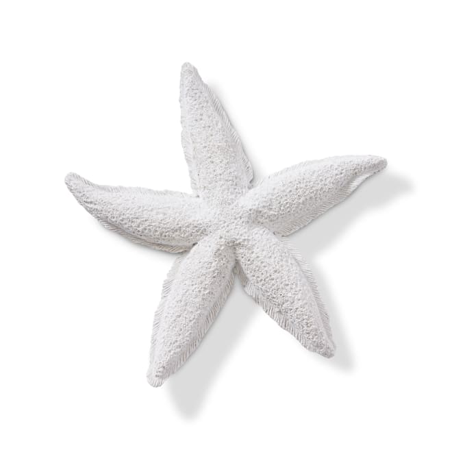 Starfish Royal - White, 3cm (H)