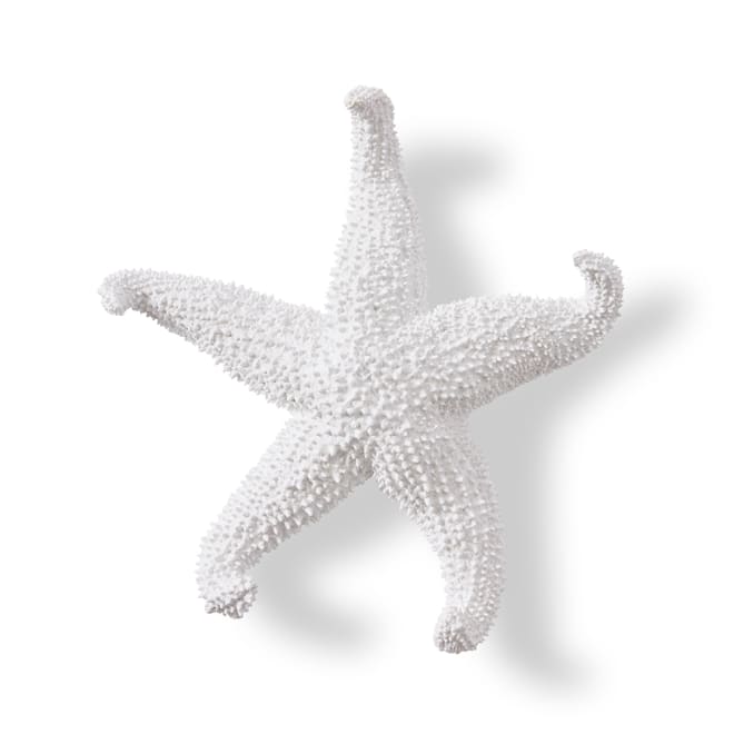 Starfish Ochre - White, 5cm (H)